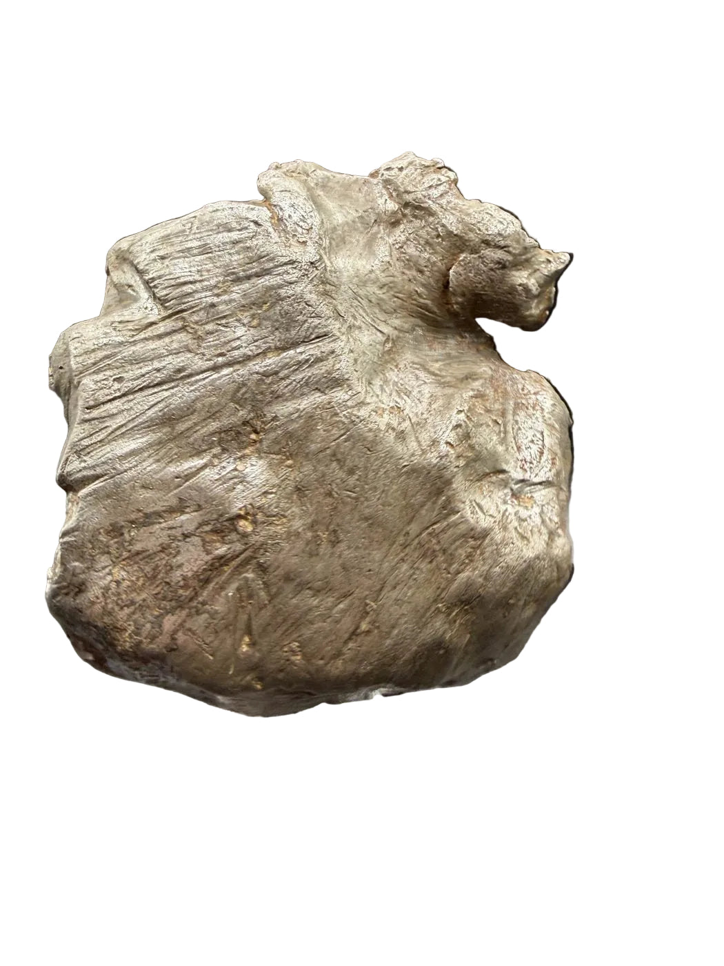 Gebel Kamil 1039.06 g shrapnel showing shield-shaped outline and curled lip