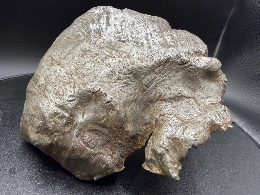 Cleaned metallic face of Gebel Kamil shrapnel with torn upper edge