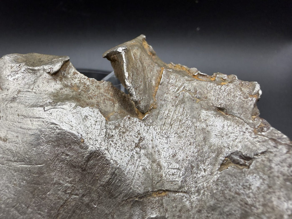 Close-up of folded metal lip on Gebel Kamil shrapnel