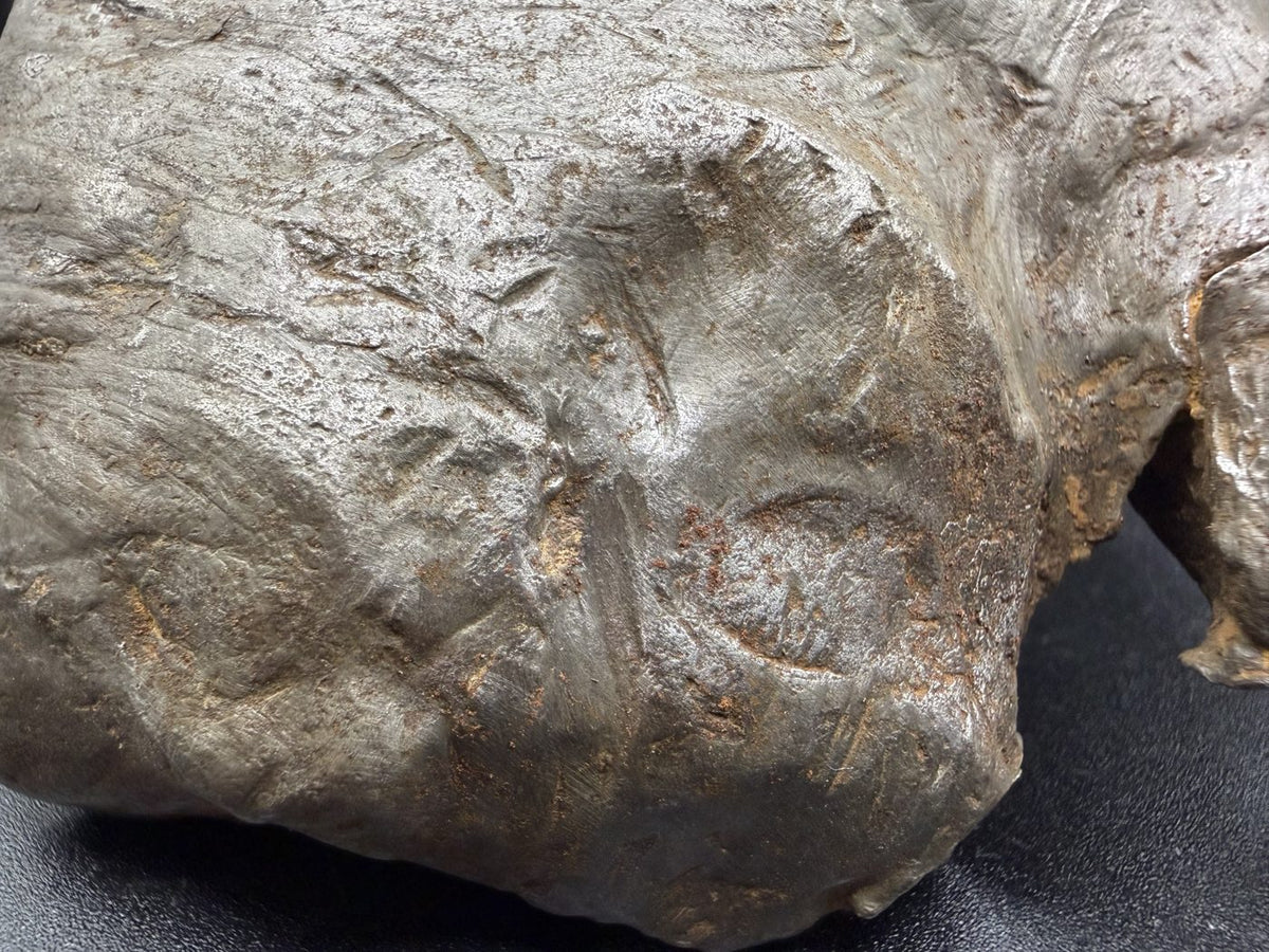 Close-up of smooth depressions and twisted margin on Gebel Kamil shrapnel