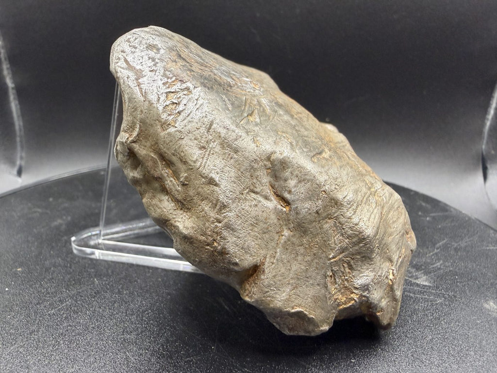 Edge profile of Gebel Kamil shrapnel showing plate thickness