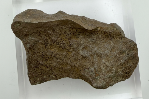 Gebel Kamil iron meteorite individual 430.46g -- ungrouped ataxite from Egypt impact crater, Treasure Coast Meteorite Co.