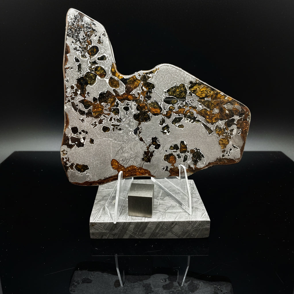 Reverse face of Gyarub Zangbo ungrouped pallasite slice on acrylic stand showing olivine distribution and weathered exterior edge, 54.18g