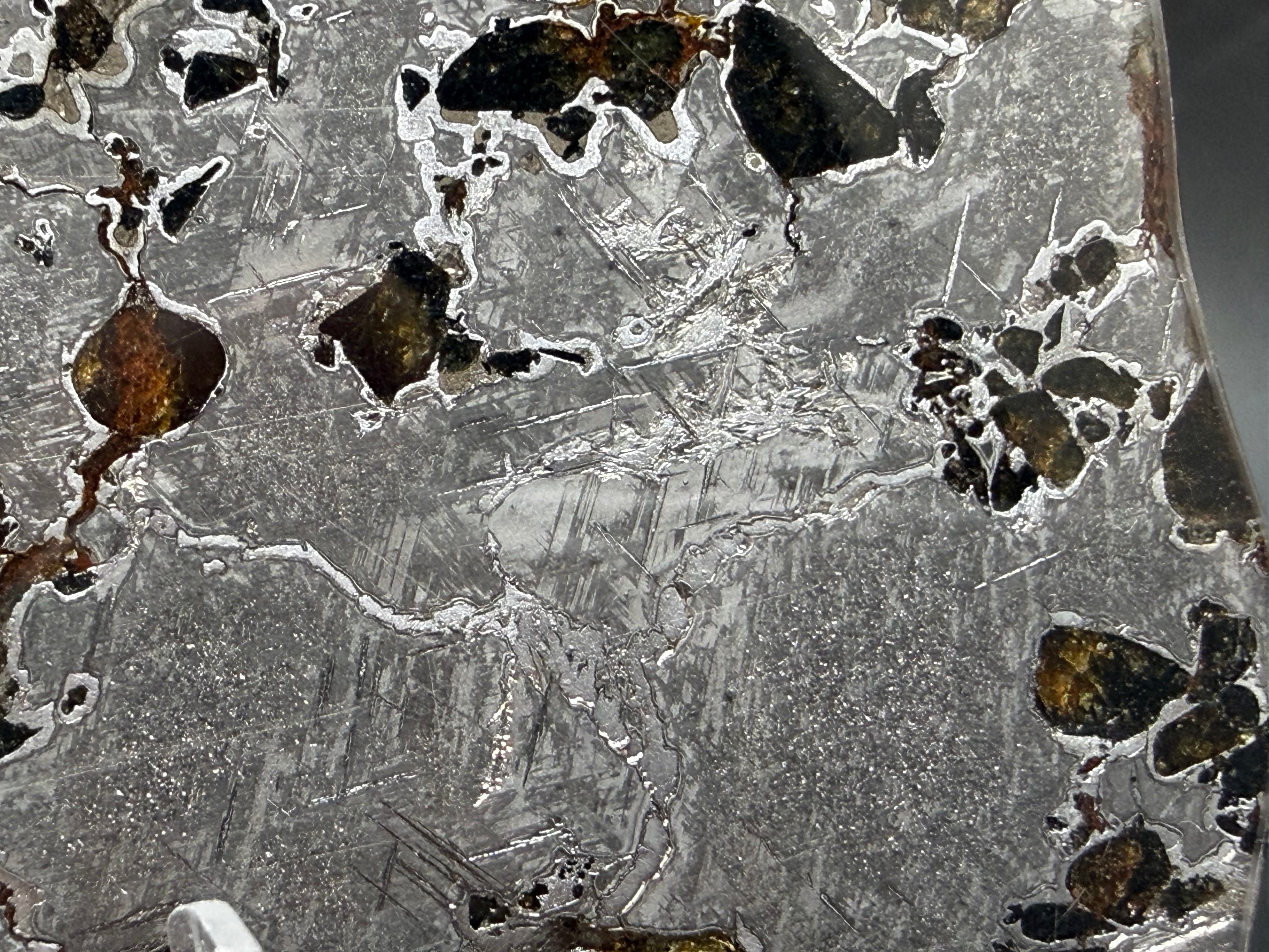Macro view of Gyarub Zangbo pallasite slice showing iron-nickel matrix with Widmanstatten structure between olivine crystals, 54.18g