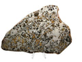 Gyarub Zangbo ungrouped pallasite slice, 226.95g, polished front face showing olivine crystals in iron-nickel matrix on a white background, Tibet
