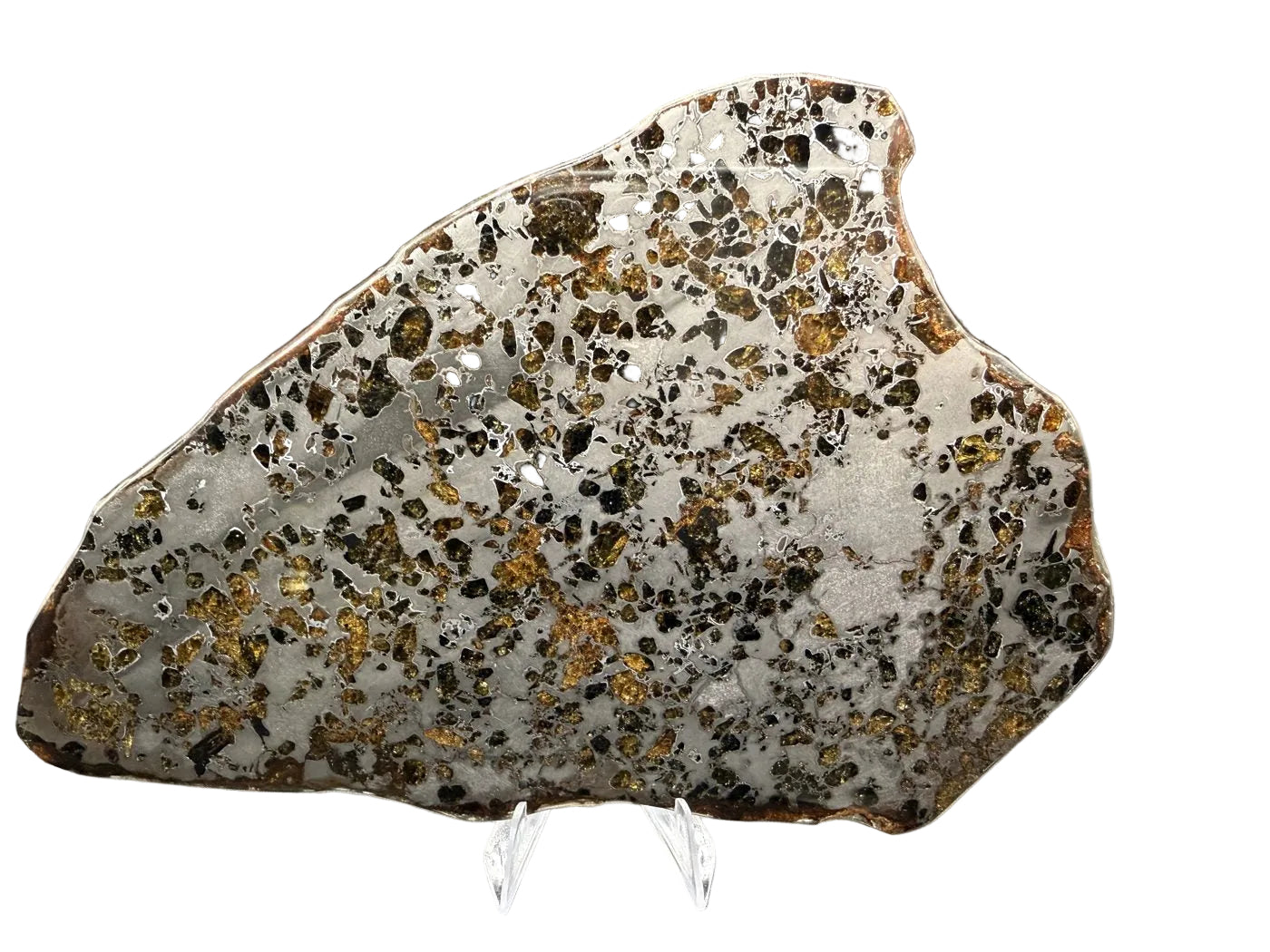 Gyarub Zangbo ungrouped pallasite slice, 226.95g, polished front face showing olivine crystals in iron-nickel matrix on a white background, Tibet
