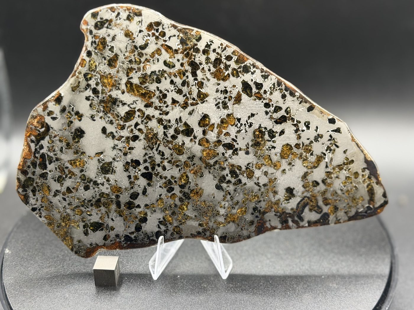 Gyarub Zangbo ungrouped pallasite slice, 226.95g, front face on stand beside a 1cm scale cube, Tibet
