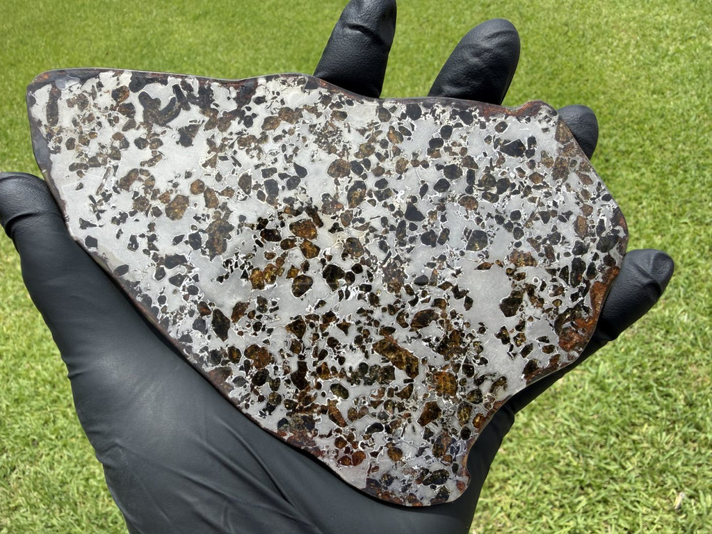 Gyarub Zangbo ungrouped pallasite slice, 226.95g, front face in natural light showing amber olivine and iron-nickel matrix