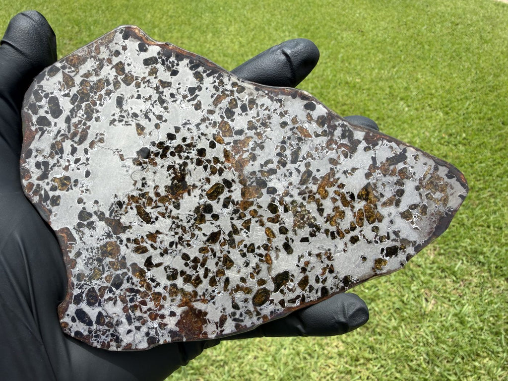 Gyarub Zangbo ungrouped pallasite slice, 226.95g, reverse polished face in natural light showing olivine distribution