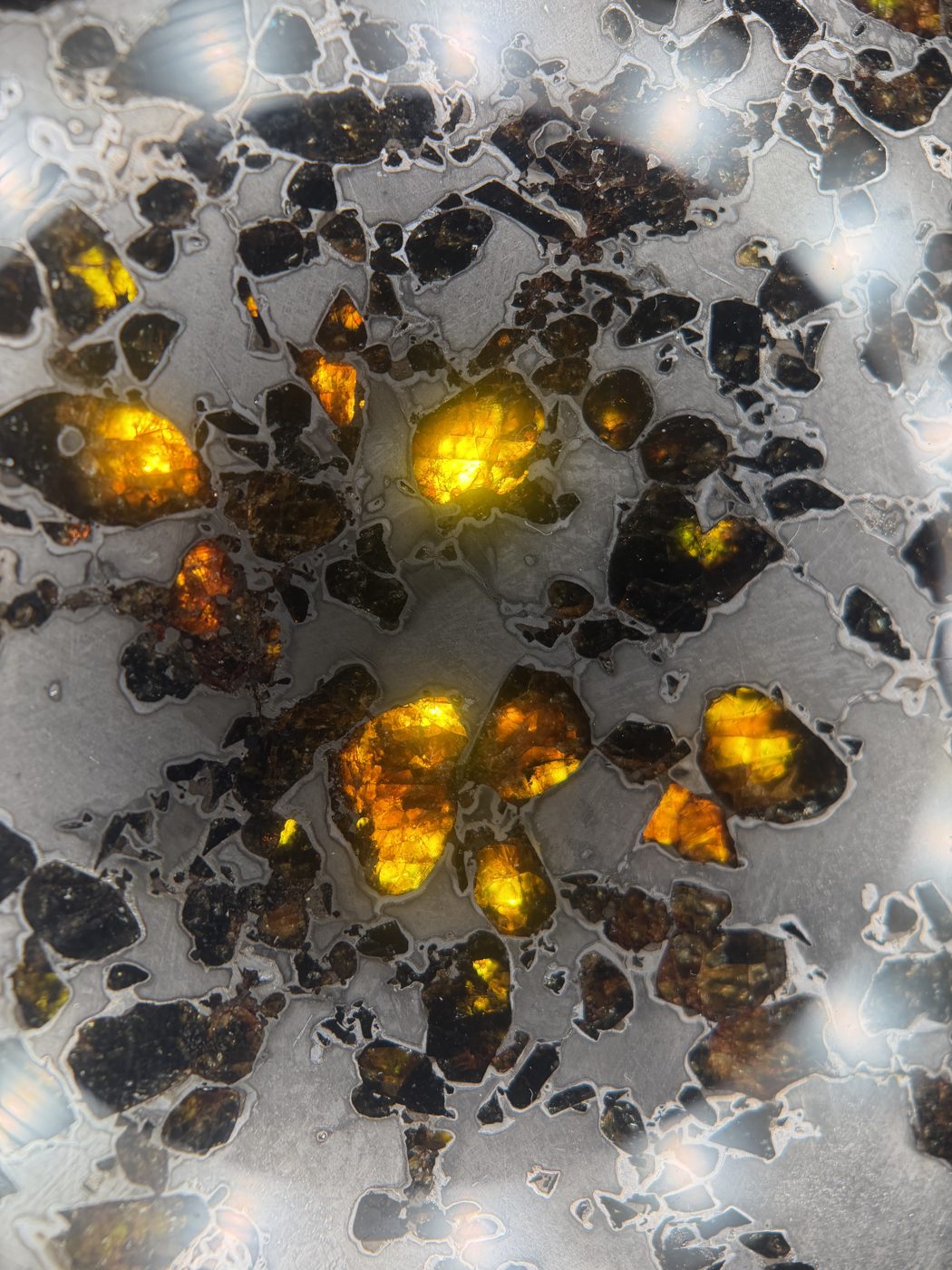 Gyarub Zangbo ungrouped pallasite, 226.95g, backlit macro of a translucent amber olivine cluster in iron-nickel matrix