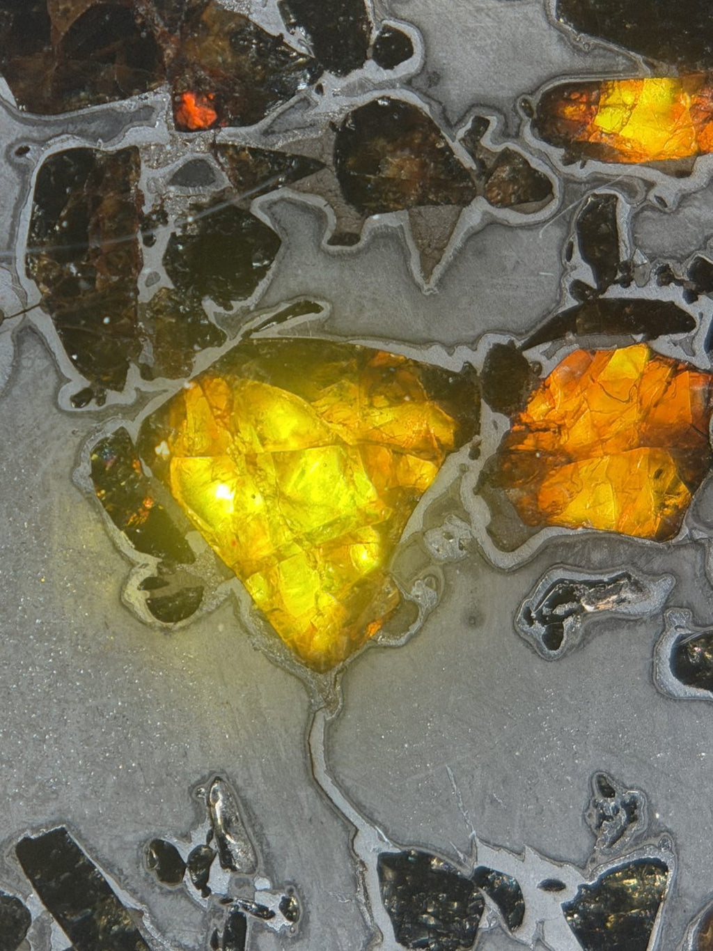 Gyarub Zangbo ungrouped pallasite, 226.95g, backlit macro of a large olivine crystal glowing amber with cleavage detail