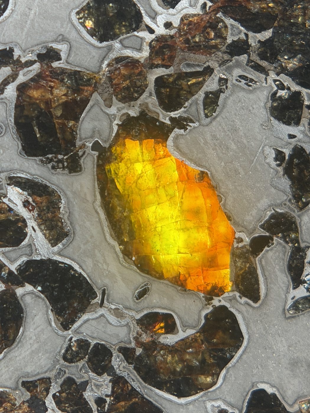 Gyarub Zangbo ungrouped pallasite, 226.95g, backlit macro of a single translucent olivine crystal in polished metal