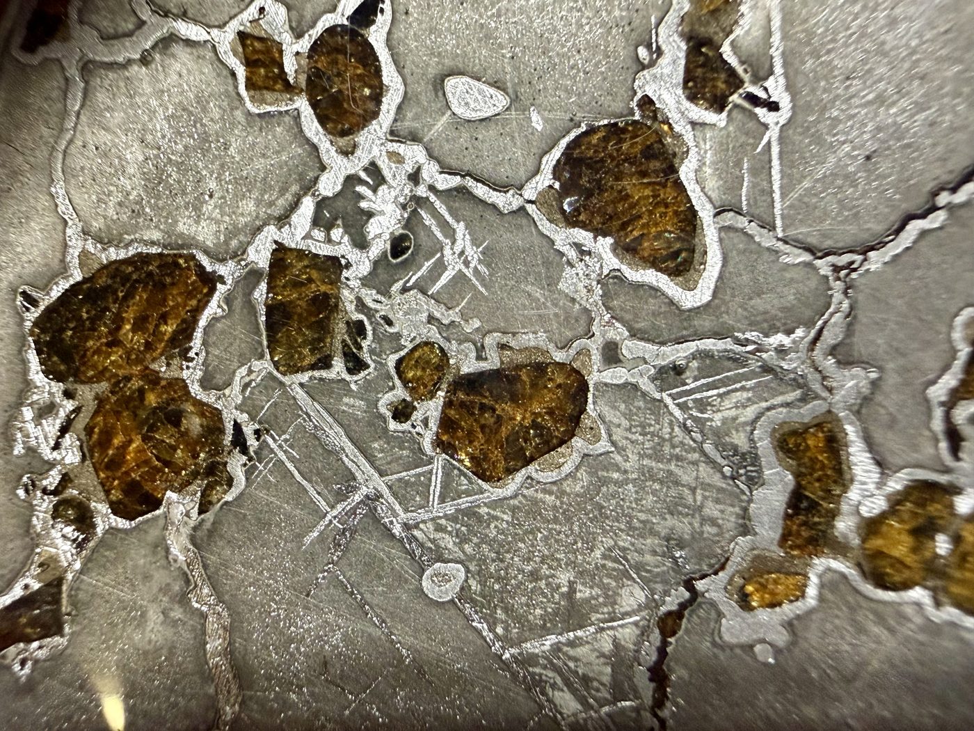 Macro view of Gyarub Zangbo pallasite showing a connected network of olivine crystals in iron-nickel metal, 301.28g