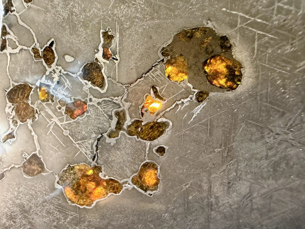 Macro view of Gyarub Zangbo pallasite showing translucent amber olivine crystals, 301.28g
