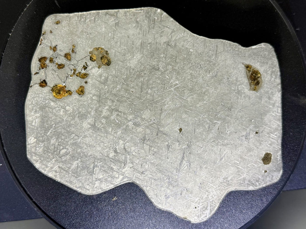 Angled view of Gyarub Zangbo ungrouped pallasite meteorite slice showing olivine and etched metal, 301.28g