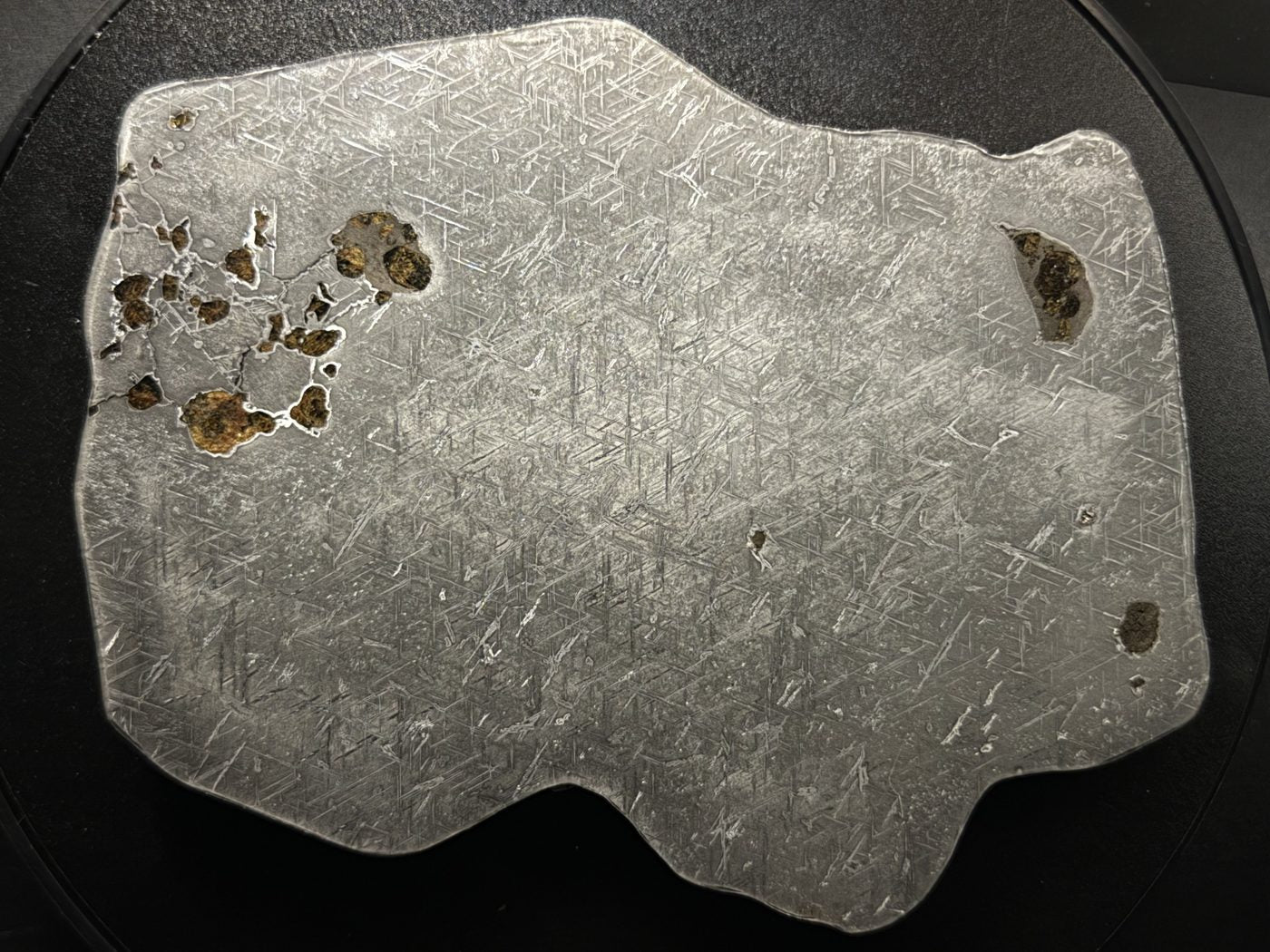 Close view of the reverse face of Gyarub Zangbo ungrouped pallasite meteorite slice showing olivine cluster, 301.28g