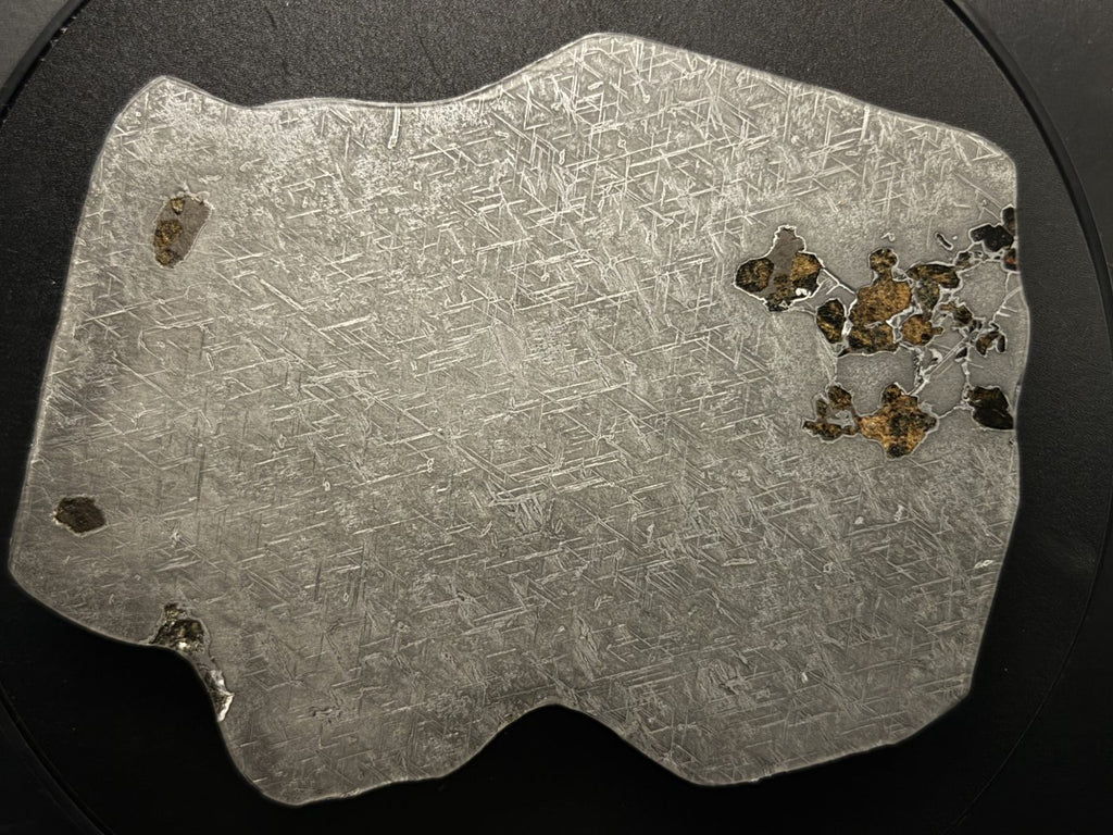 Reverse polished face of Gyarub Zangbo ungrouped pallasite meteorite slice showing olivine distribution, 301.28g