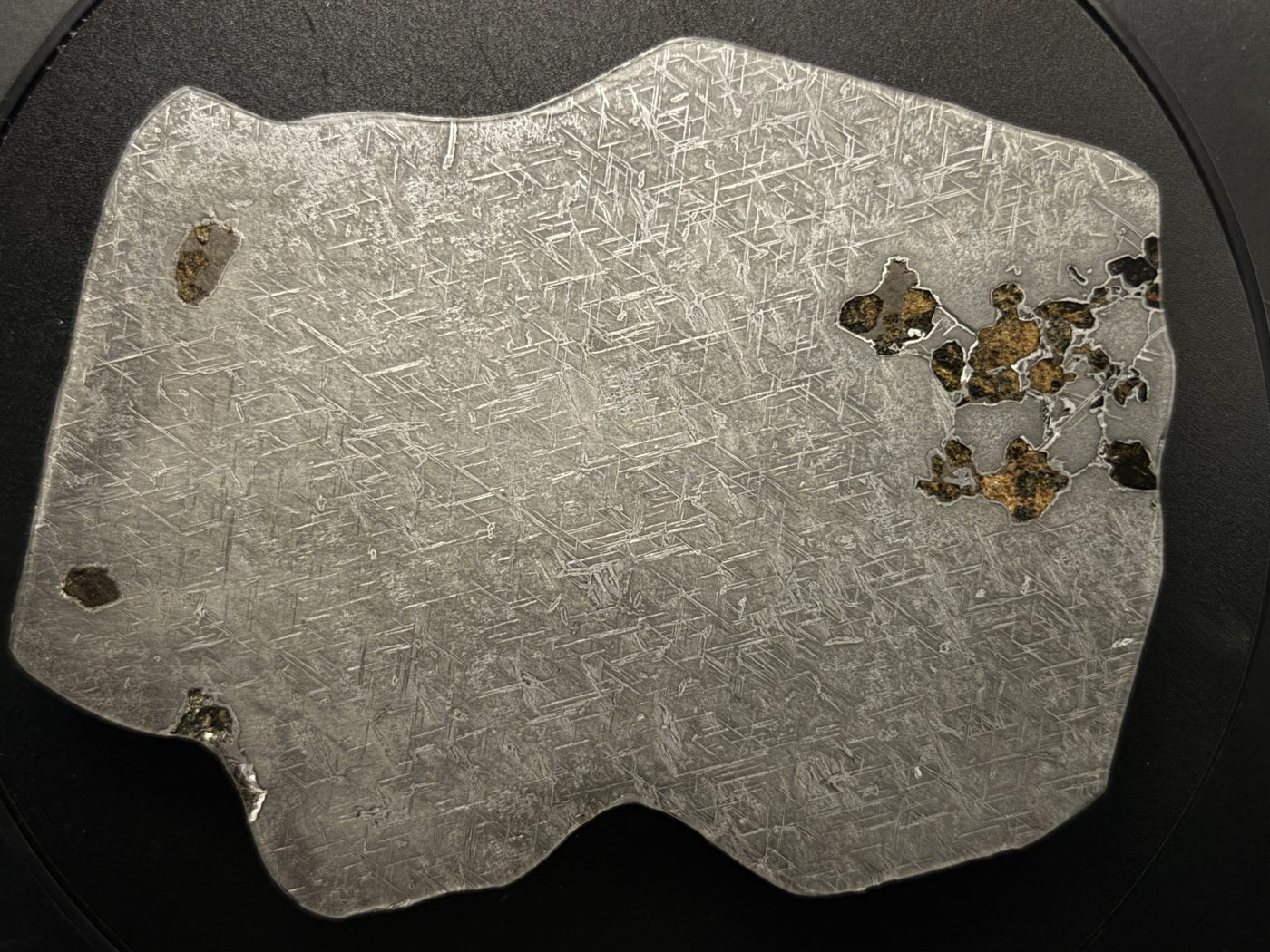 Reverse polished face of Gyarub Zangbo ungrouped pallasite meteorite slice showing olivine distribution, 301.28g