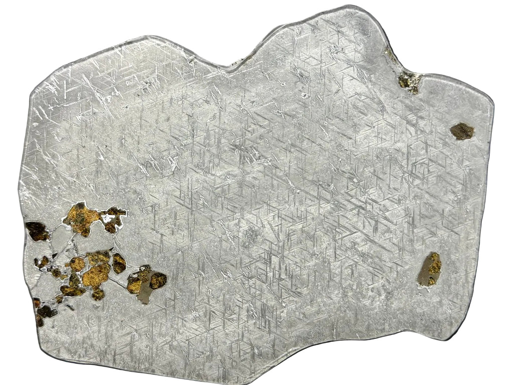 Polished face of Gyarub Zangbo ungrouped pallasite meteorite slice showing olivine in etched iron-nickel matrix, 301.28g