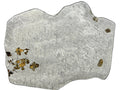 Polished face of Gyarub Zangbo ungrouped pallasite meteorite slice showing olivine in etched iron-nickel matrix, 301.28g