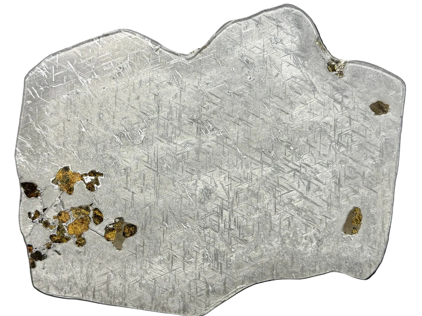 Polished face of Gyarub Zangbo ungrouped pallasite meteorite slice showing olivine in etched iron-nickel matrix, 301.28g