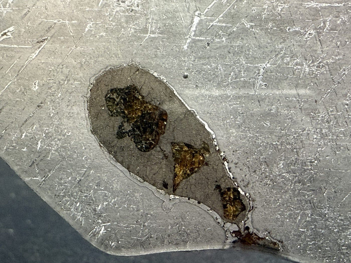 Macro view of an elongate grey-toned pocket holding olivine grains, Gyarub Zangbo pallasite, 324.46g