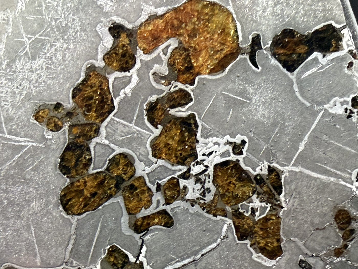 Macro view of a connected olivine cluster in iron-nickel metal, Gyarub Zangbo pallasite, 324.46g