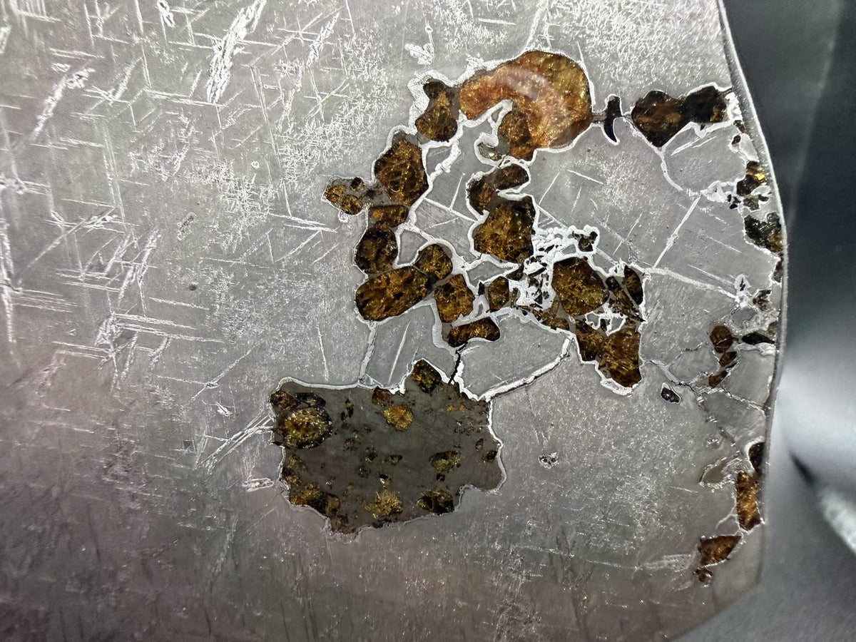 Macro view of olivine grains along the margin of Gyarub Zangbo pallasite slice, 324.46g