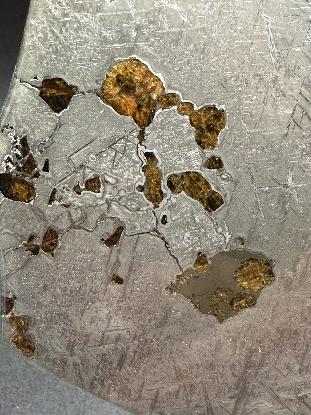 Macro view of olivine and a grey-toned pocket near the edge of Gyarub Zangbo pallasite slice, 324.46g