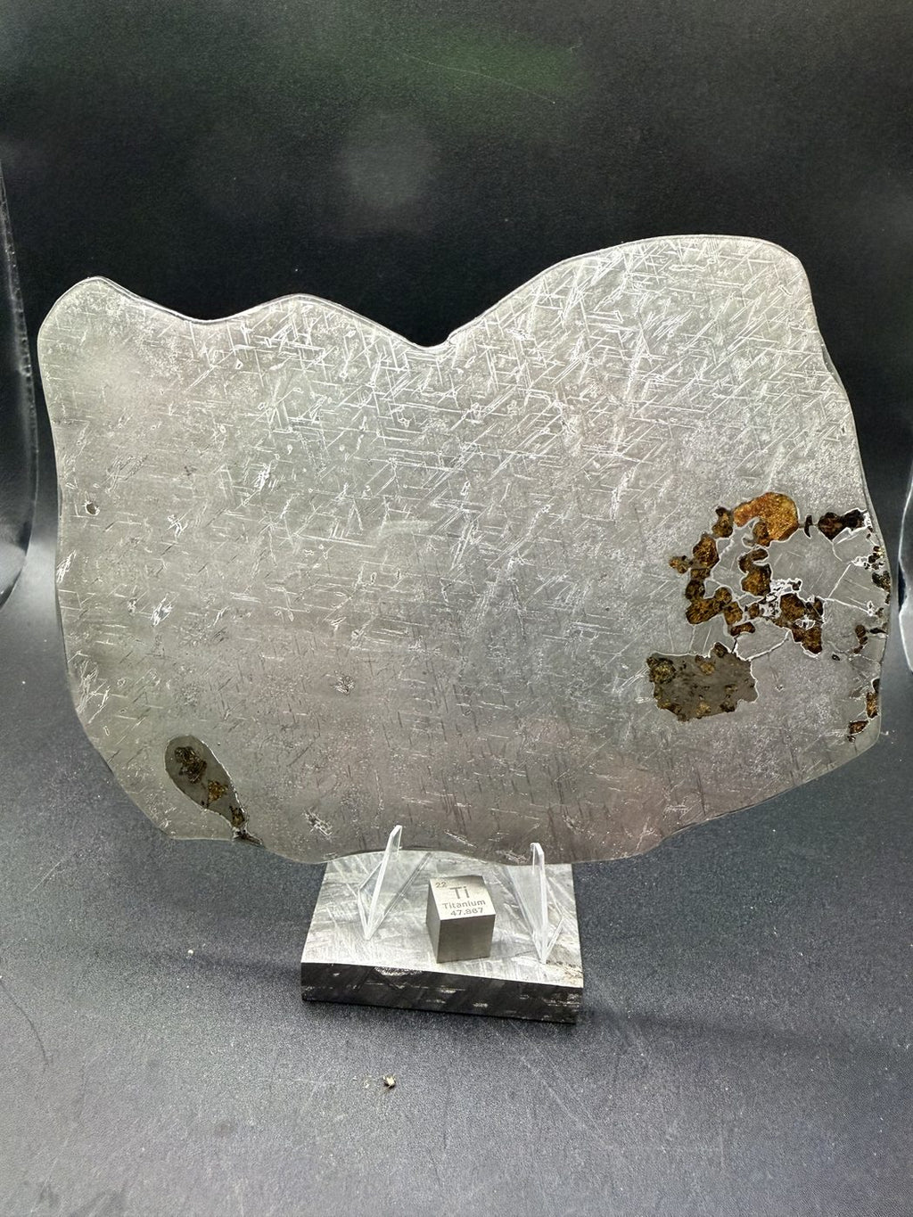 Reverse etched face of Gyarub Zangbo ungrouped pallasite meteorite full slice showing olivine on the opposite margin, 324.46g