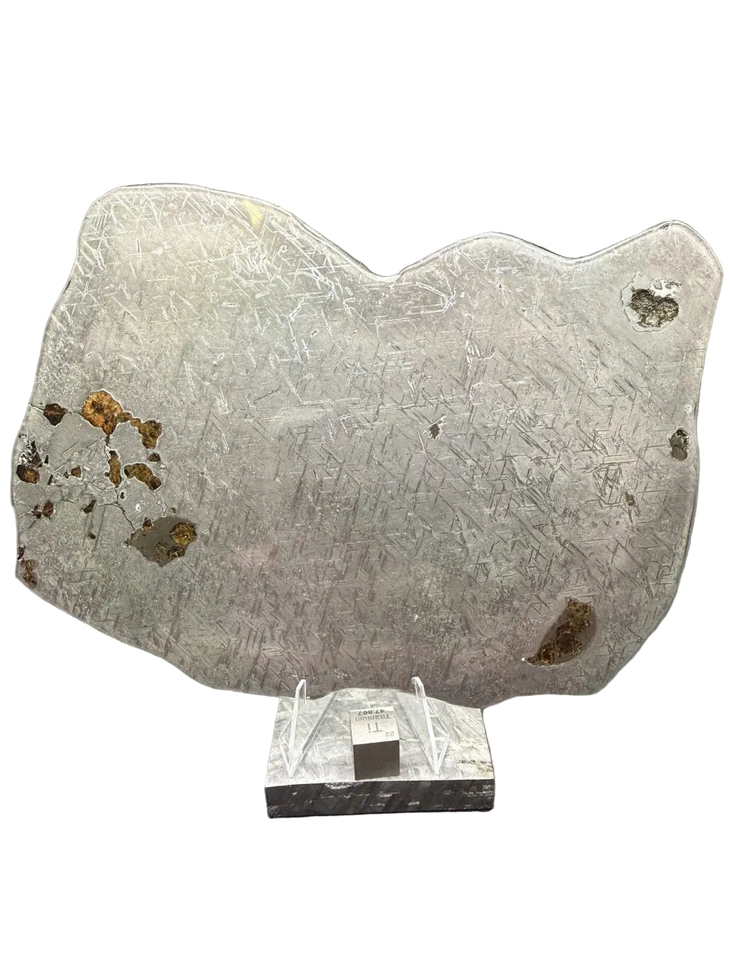 Etched face of Gyarub Zangbo ungrouped pallasite meteorite full slice, metal dominant with an olivine cluster at one margin, 324.46g