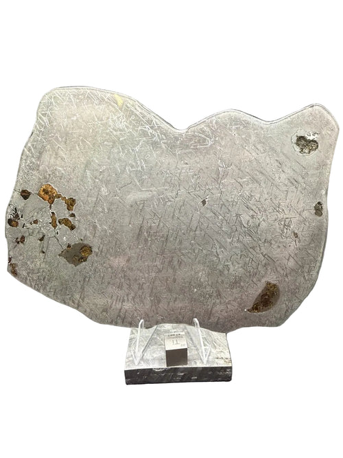 Etched face of Gyarub Zangbo ungrouped pallasite meteorite full slice, metal dominant with an olivine cluster at one margin, 324.46g