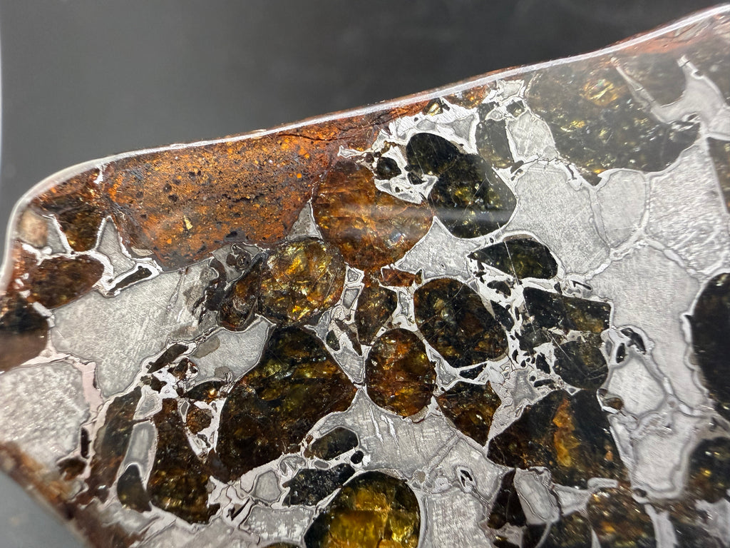 Gyarub Zangbo pallasite slice macro detail showing weathered crust edge and partially preserved olivine crystals in polished iron-nickel matrix
