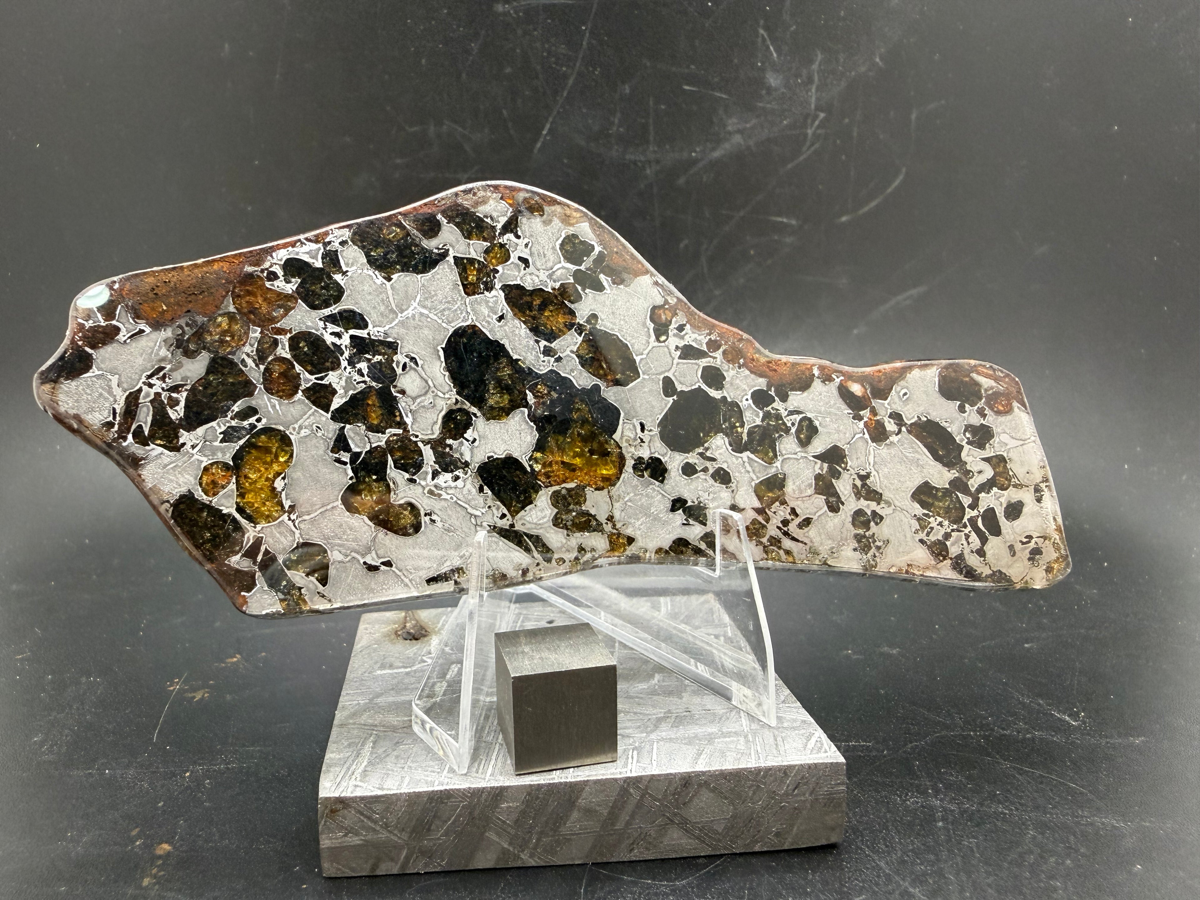 Gyarub Zangbo ungrouped pallasite 45.91g full slice front view on acrylic stand with Muonionalusta base