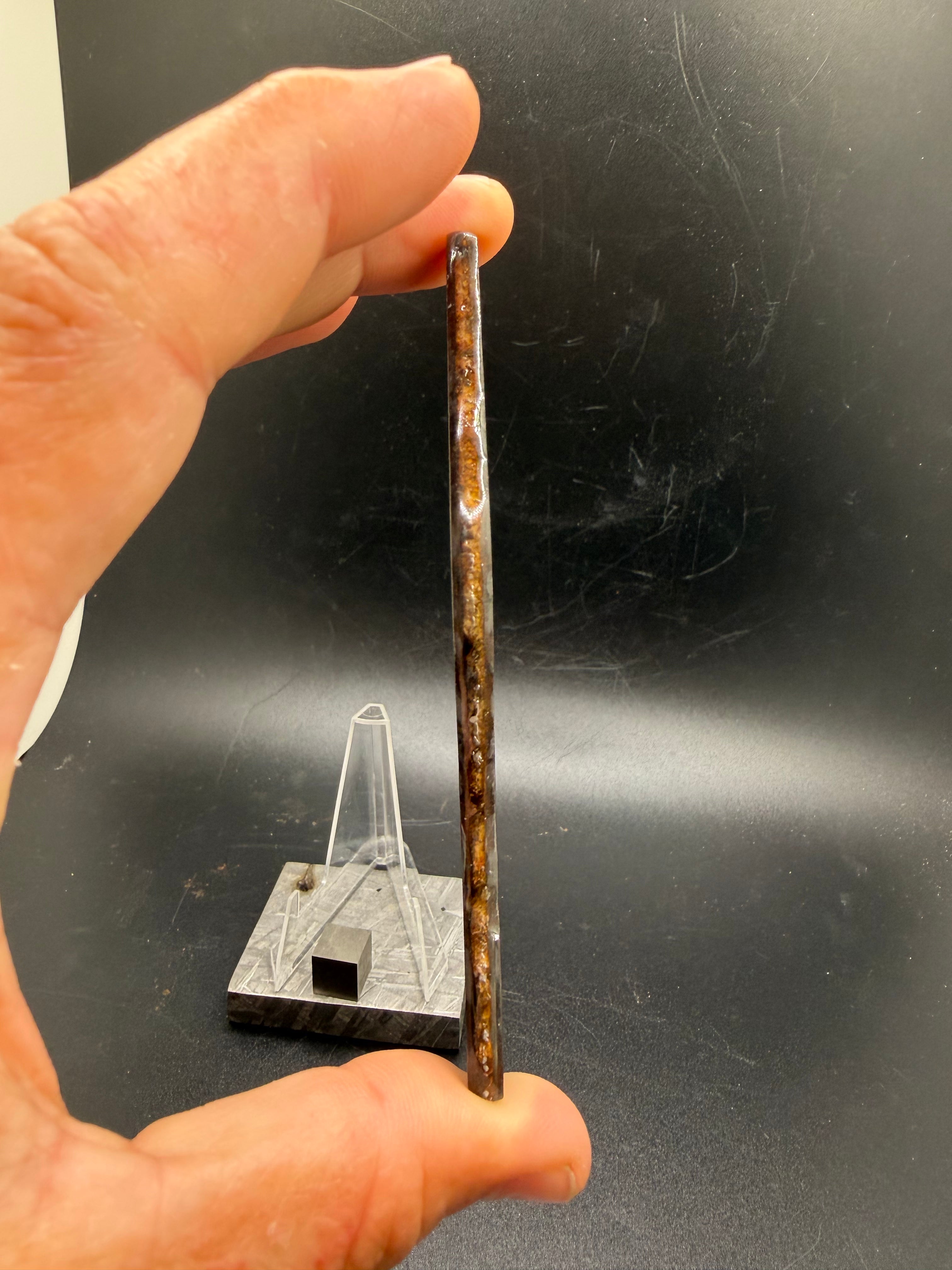 Gyarub Zangbo ungrouped pallasite 45.91g full slice edge view
