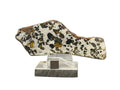 Front view of Gyarub Zangbo ungrouped pallasite polished slice on acrylic stand with Muonionalusta base, 45.91g