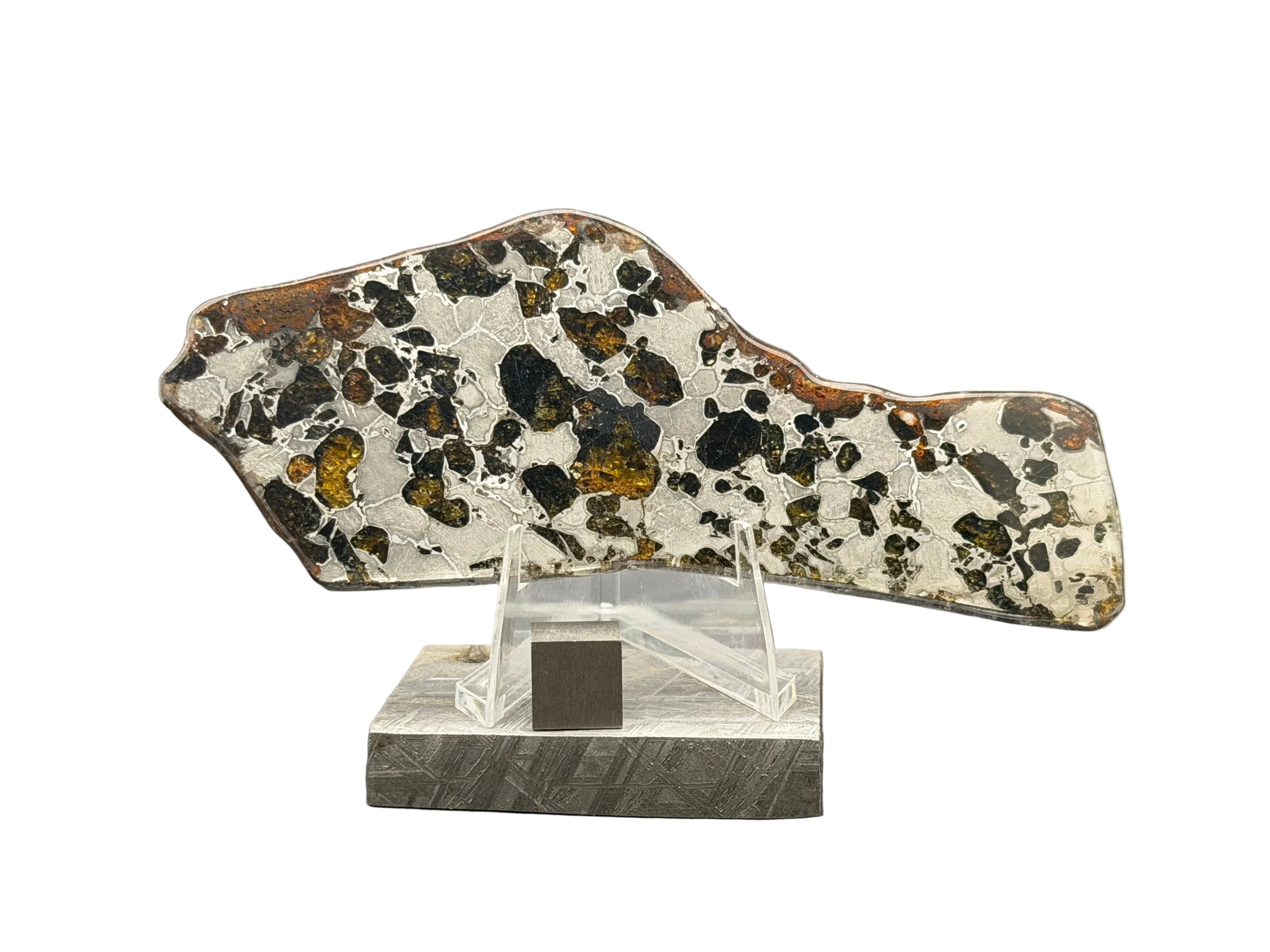 Gyarub Zangbo ungrouped pallasite polished slice on acrylic stand with Muonionalusta base, front view