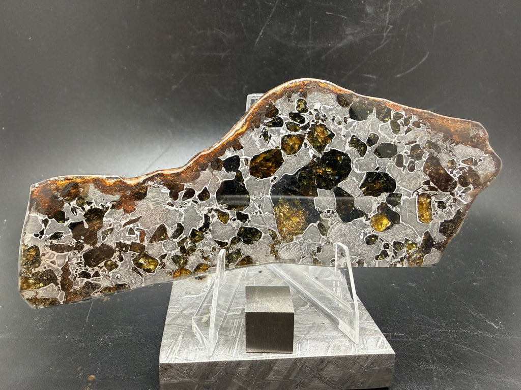 Gyarub Zangbo pallasite polished slice reverse side on acrylic stand with Muonionalusta base