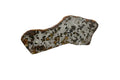Reverse face of Gyarub Zangbo ungrouped pallasite slice showing olivine and metal distribution, 48.14g