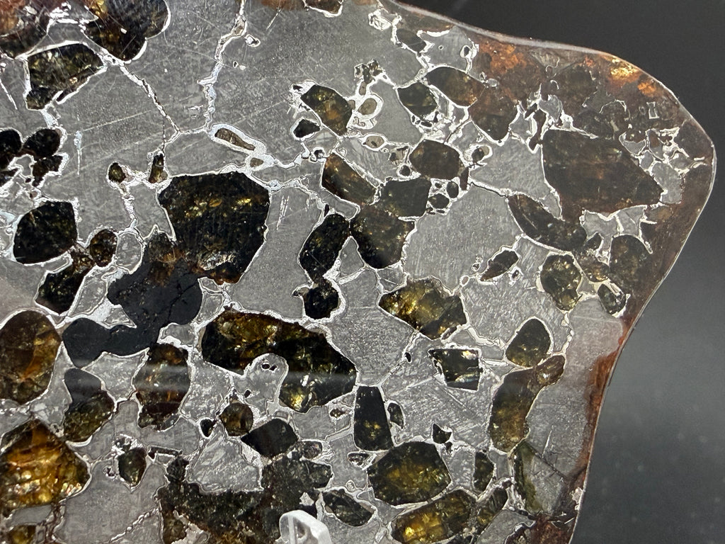 Gyarub Zangbo pallasite 48.14g -- macro view of fractured olivine crystals with amber tones in polished iron-nickel matrix