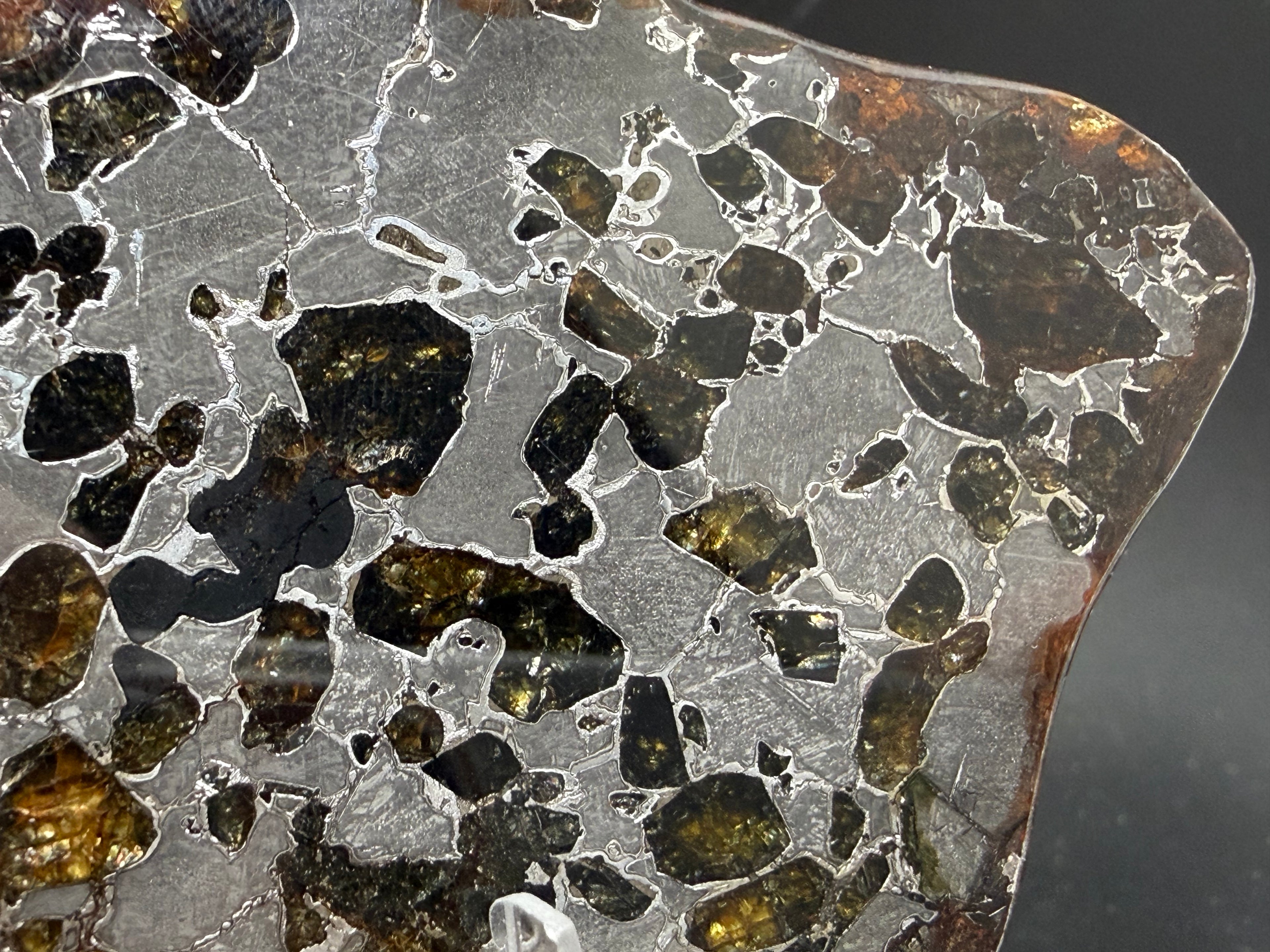 Gyarub Zangbo pallasite 48.14g -- macro view of fractured olivine crystals with amber tones in polished iron-nickel matrix