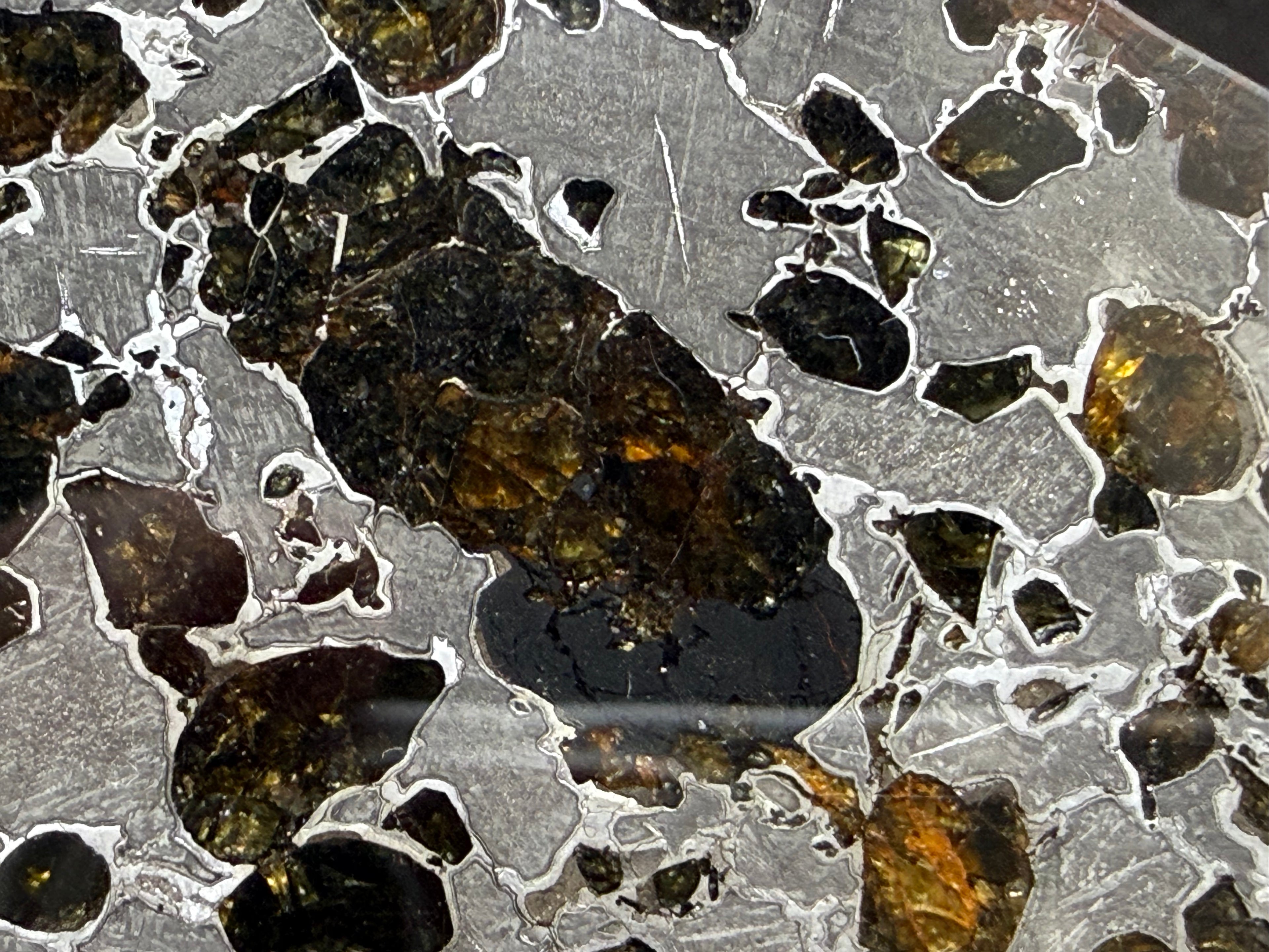 Gyarub Zangbo pallasite meteorite edge detail -- weathered exterior with olivine and iron-nickel matrix visible