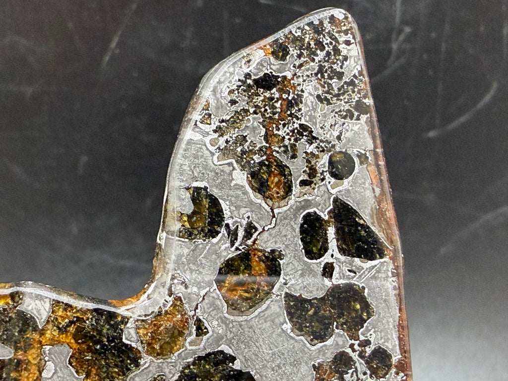 Gyarub Zangbo pallasite meteorite 54.18g -- corner detail showing small olivine crystals and weathered exterior edge in iron-nickel matrix