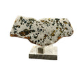 Front view of Gyarub Zangbo ungrouped pallasite slice on acrylic stand with Muonionalusta base showing olivine crystals in iron-nickel matrix from Xizang China, 64.00g