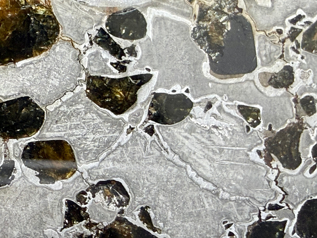 Gyarub Zangbo pallasite 64.00g -- macro detail of iron-nickel matrix showing Widmanstatten structure between olivine crystals