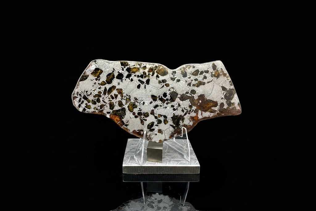Gyarub Zangbo pallasite meteorite 64.00g -- reverse face showing olivine and weathered exterior edge in iron-nickel matrix