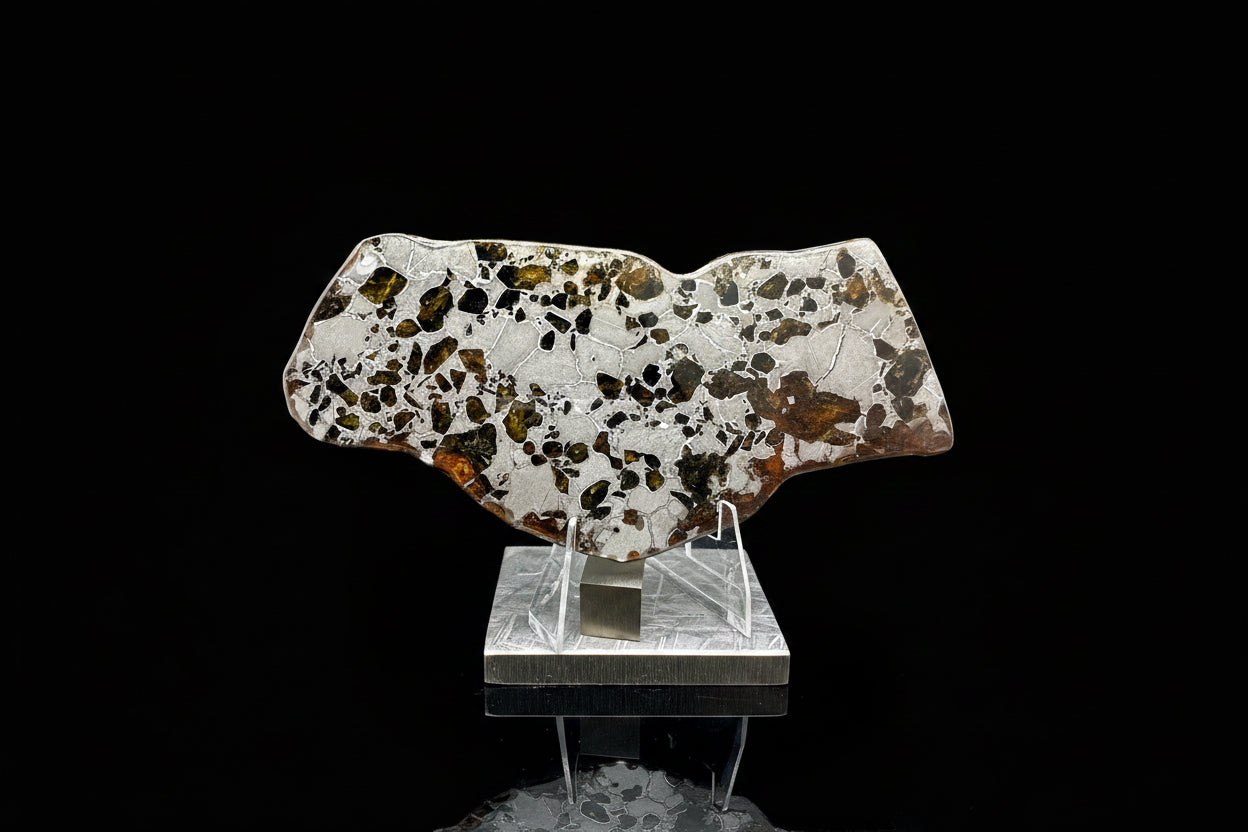 Gyarub Zangbo pallasite meteorite 64.00g -- reverse face showing olivine and weathered exterior edge in iron-nickel matrix