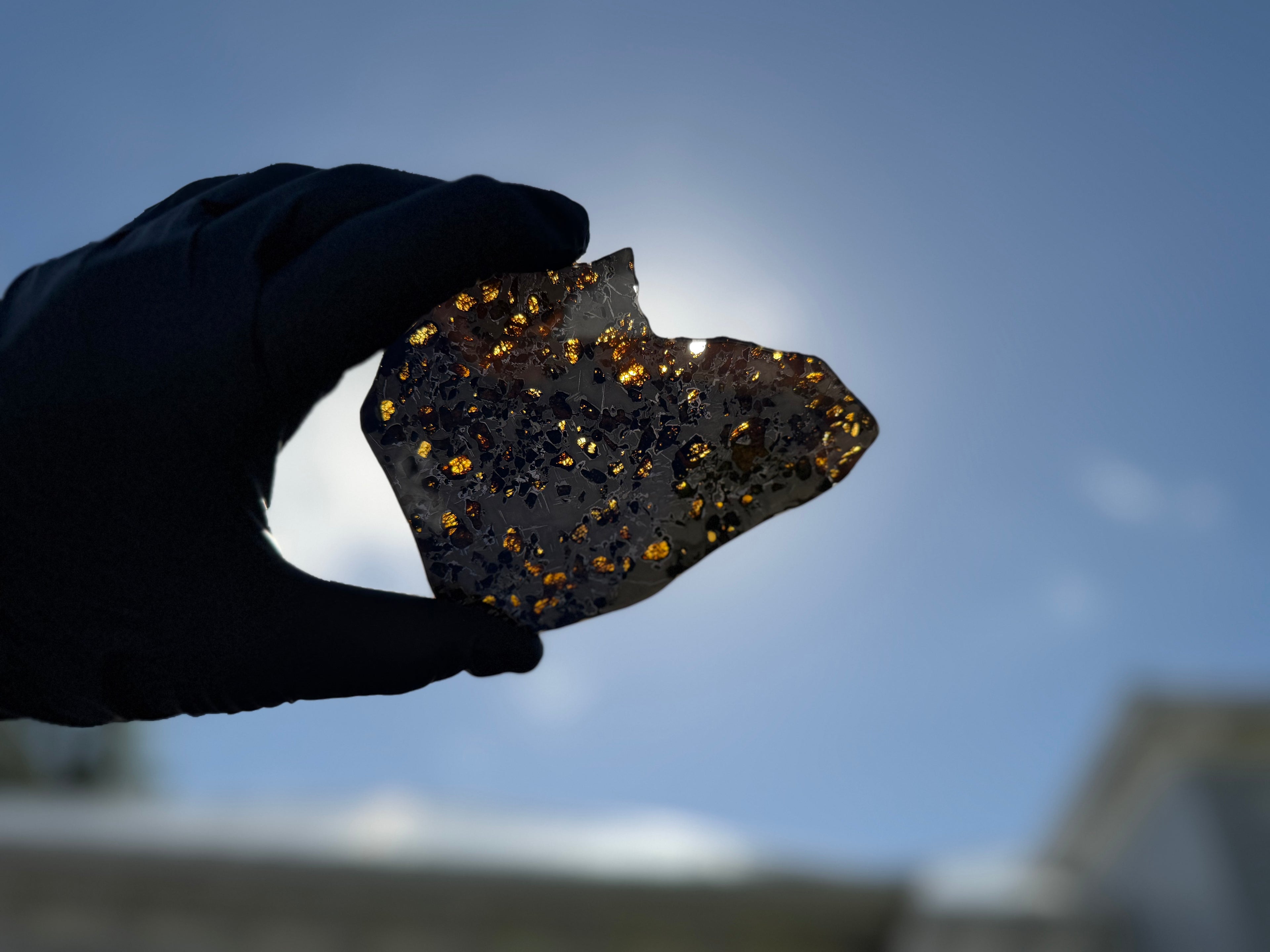 Backlit silhouette, Gyarub Zangbo Pallasite, translucent olivine crystals glowing gold against the sun, 74.92g