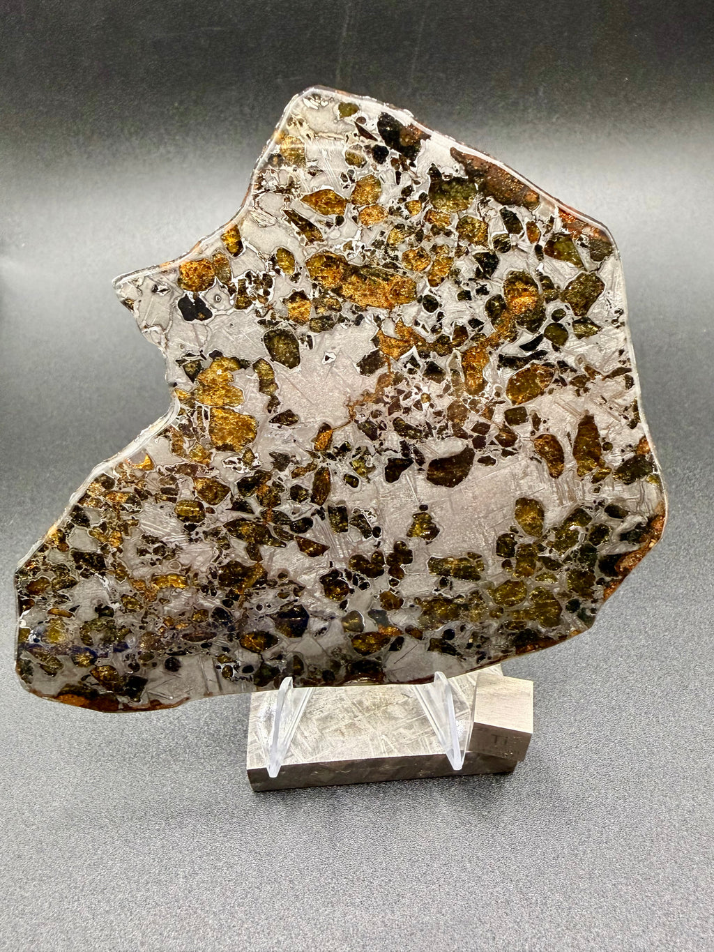 Full polished face, Gyarub Zangbo Pallasite, olivine crystals and iron-nickel matrix on stand, dark background, 74.92g