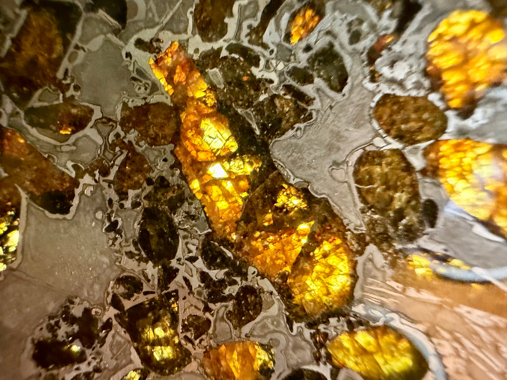 Macro detail, Gyarub Zangbo Pallasite, backlit olivine crystals glowing golden amber within iron-nickel matrix, 74.92g